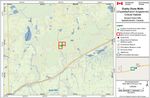 Recovery Strategy for the Dusky Dune Moth (Copablepharon longipenne) in Canada Dusky Dune Moth - Species at Risk Act - Species at ...