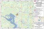 Recovery Strategy for the Dusky Dune Moth (Copablepharon longipenne) in Canada Dusky Dune Moth - Species at Risk Act - Species at ...