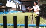 FORUMINTERNATIONAL TRADE - Women's economic empowerment Issue 1 - ITC