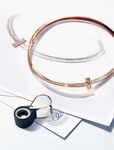 TIFFANY & CO. 2025 SUSTAINABILITY GOALS