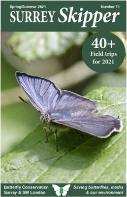 SURREY Skipper 40+ Field trips for 2021 - Butterfly Conservation