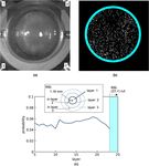 Characteristics of a Magnetic Bulk Thermostat for Granular Gas Investigations in Microgravity - eLib