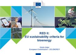 RED II: EU sustainability criteria for bioenergy - Giulio Volpi European Commission - DG ENERGY - ISCC System
