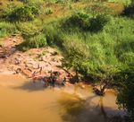 Gender Safeguards for the Kimberley Process: Local Policy Dimension - Bmz