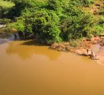 Gender Safeguards for the Kimberley Process: Local Policy Dimension - Bmz