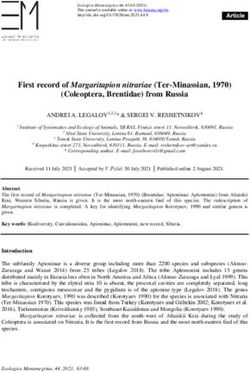 First record of Margaritapion nitrariae (Ter-Minassian, 1970) (Coleoptera, Brentidae) from Russia - Research Article