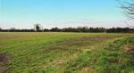 "Killegland Farm", Ashbourne, Co. Meath - A84 X793 - Approx. 241 acres with Residence - Superb Land Bank - PropertyLocator.ie