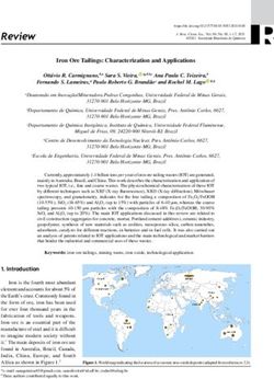 Iron Ore Tailings: Characterization and Applications - Instituto Brasileiro de Minera&ccedil;&atilde;o (IBRAM)