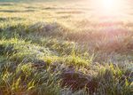 PERSPECTIVE August 2021 - The latest insights into global dairy markets Your regular global overview of the dairy industry along with trends in ...