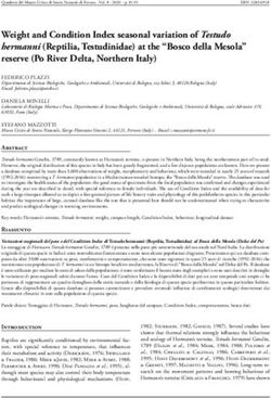 Weight and Condition Index seasonal variation of Testudo hermanni Reptilia, Testudinidae at the "Bosco della Mesola" reserve Po River Delta ...