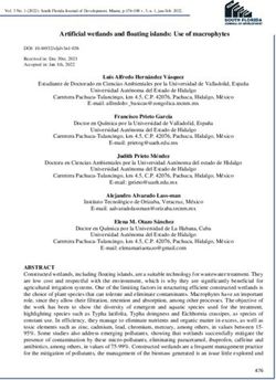Artificial wetlands and floating islands: Use of macrophytes