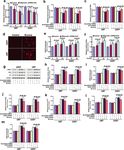 ATF3 contributes to brucine-triggered glioma cell ferroptosis via promotion of hydrogen peroxide and iron