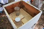 GENERAL MAINTENANCE OF HONEY BEE HIVES - Extension ...