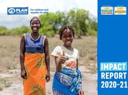 IMPACT REPORT - Plan International UK