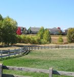 Residential Improvement Guidelines (RIGs)