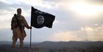 ISIS Media and Troop Withdrawal Announcements: Visualizing Community and Resilience