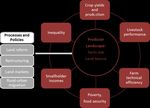 Sustainable Development Goals and the livestock sector in Central Asia