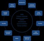 Sustainable Development Goals and the livestock sector in Central Asia