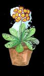 2022SPRING - HOLDEN CLOUGH NURSERIES