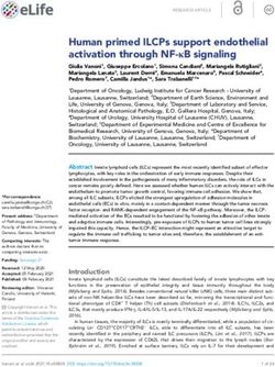 Human primed ILCPs support endothelial activation through NF-kB signaling