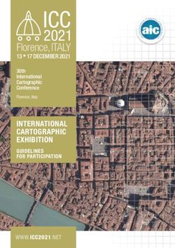 ICC 2021 - INTERNATIONAL CARTOGRAPHIC EXHIBITION