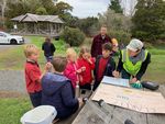 Herald Matakana School - 22 June 2020