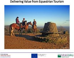 Delivering Value from Equestrian Tourism - Tourism South East