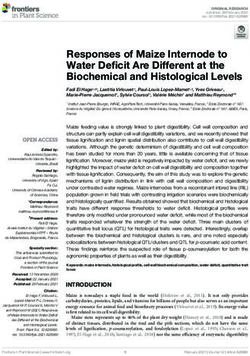Responses of Maize Internode to Water Deficit Are Different at the Biochemical and Histological Levels