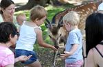Play, Fun, Nature and Animals - Freizeitpark Klotten