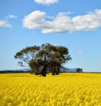 STRATEGIC PLAN 2017-2018 - DEDJTR DELIVERS JULY 2017 - DECEMBER 2018 - Department of Economic ...