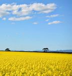 STRATEGIC PLAN 2017-2018 - DEDJTR DELIVERS JULY 2017 - DECEMBER 2018 - Department of Economic ...