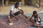 Effectiveness Review of Child Labour Monitoring and Remediation Systems in the West African Cocoa Sector