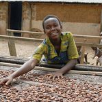Effectiveness Review of Child Labour Monitoring and Remediation Systems in the West African Cocoa Sector