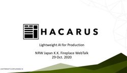 Lightweight AI for Production NRW Japan K.K. Fireplace WebTalk 29 Oct. 2020 - NRW.Invest