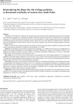 Reintroducing the dingo: the risk of dingo predation to threatened vertebrates of western New South Wales