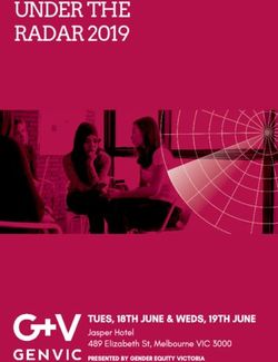 UNDER THE RADAR 2019 - Gender Equity Victoria