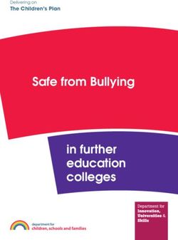 Safe from Bullying in further education colleges - The Children's Plan Delivering on