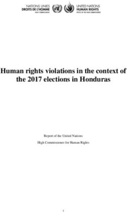 Human rights violations in the context of the 2017 elections in Honduras - OHCHR