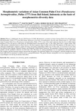 Morphometric variations of Asian Common Palm Civet (Paradoxurus hermaphroditus, Pallas 1777) from Bali Island, Indonesia as the basis of ...