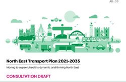 North East Transport Plan 2021-2035 - Moving to a green, healthy, dynamic and thriving North East - Sunderland City Council