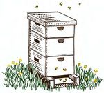 F - Petersfield Beekeepers