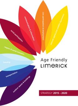 STRATEGY 2015 2020 - Limerick.ie