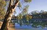 Music on the Murray - Celebrate the 50's, 60's and 70's with singers and full band while enjoying everything that the Murray has to offer! ...