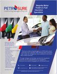 SOUTH AFRICA IS RISING - Publication of the ANC Progressive Business Forum