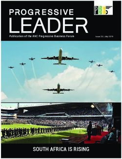SOUTH AFRICA IS RISING - Publication of the ANC Progressive Business Forum