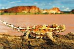 Midwifery Study Tour in Alice Springs and Uluru 14 - 20 May 2023