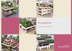 Houseplants Stagecraft Display Ltd - 01686 629096 WWW.STAGECRAFT-UK.COM