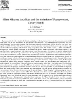 Giant Miocene landslides and the evolution of Fuerteventura, Canary Islands