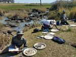 SASS5 AQUATIC BIOMONITORING TRAINING COURSE - Venue: Dates: Albany Museum Rennie Hall, Grahamstown, Eastern Cape - GroundTruth