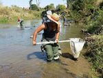 SASS5 AQUATIC BIOMONITORING TRAINING COURSE - Venue: Dates: Albany Museum Rennie Hall, Grahamstown, Eastern Cape - GroundTruth